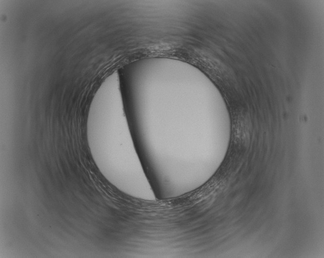 X0000068771346200604281007