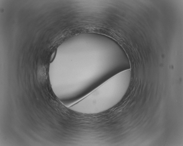 X0000068771347200604281007