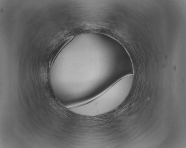 X0000068771348200604281007