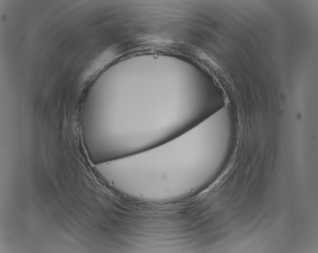 X0000068771354200604281007