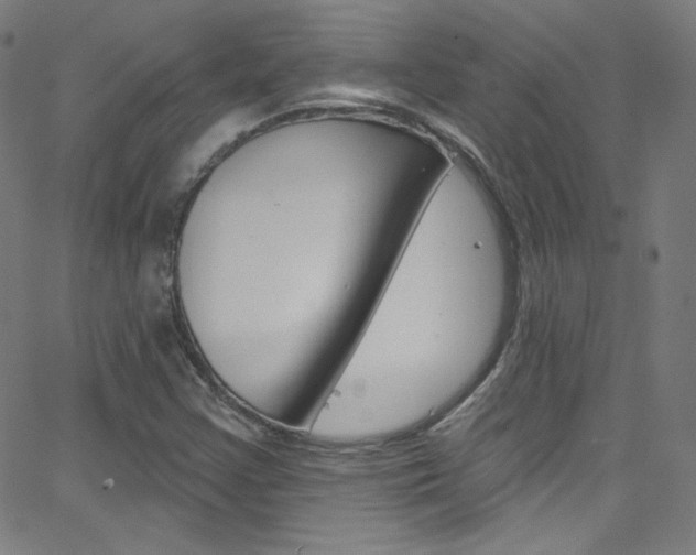 X0000068771355200604281007