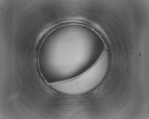 X0000068771360200604281007