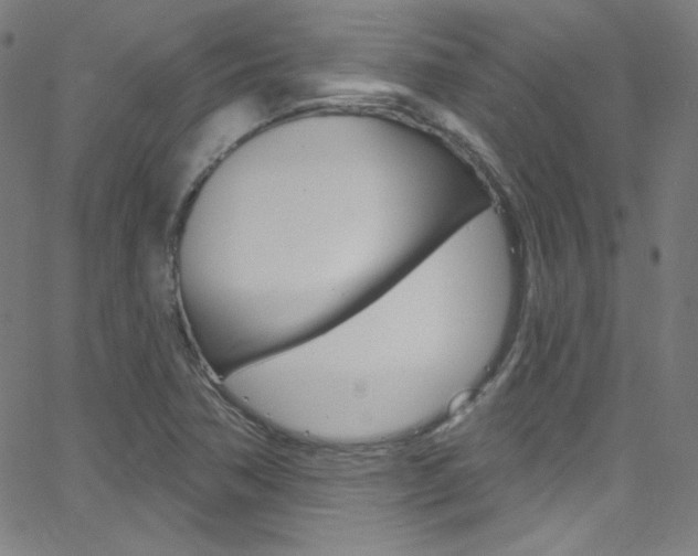 X0000068771362200604281007