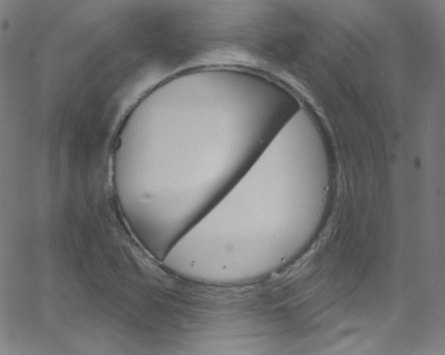 X0000068771366200604281007