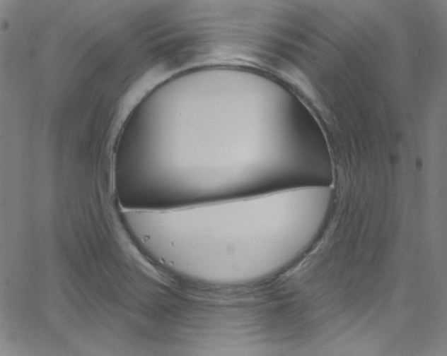 X0000068771371200604281007