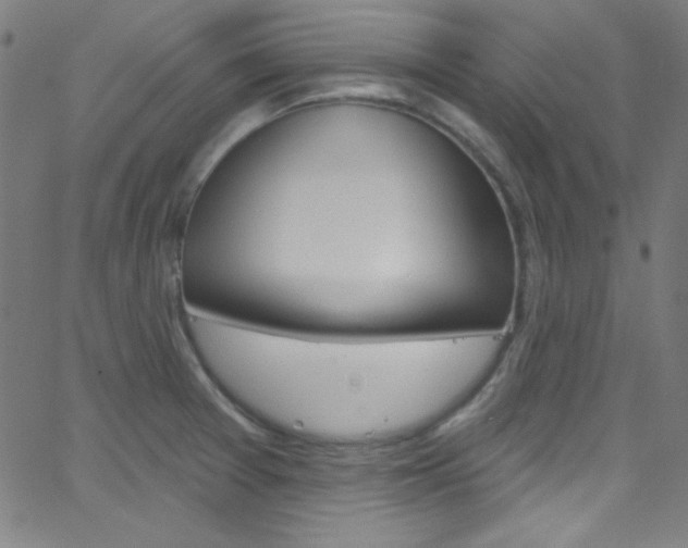 X0000068771377200604281007