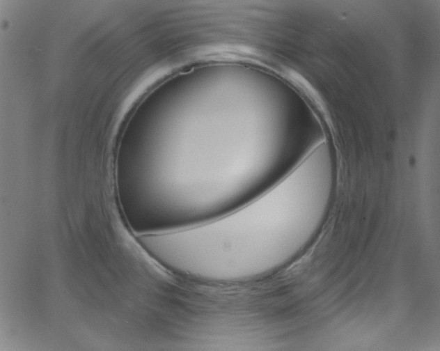 X0000068771384200604281006