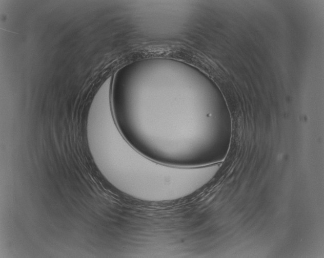 X0000068771394200604281006