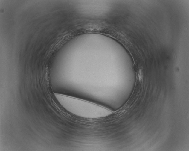 X0000068771396200604281006
