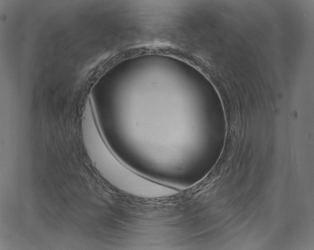 X0000068771398200604281006