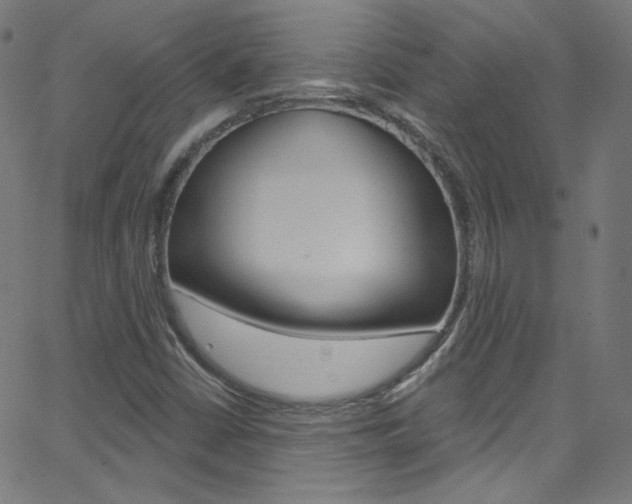 X0000068771402200604281006