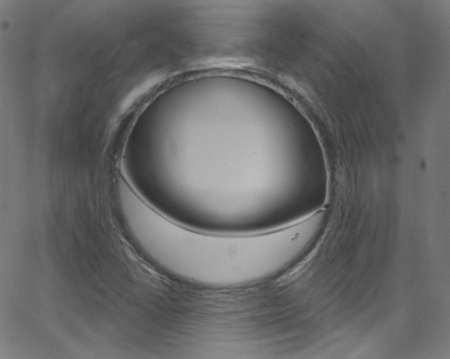 X0000068771406200604281006