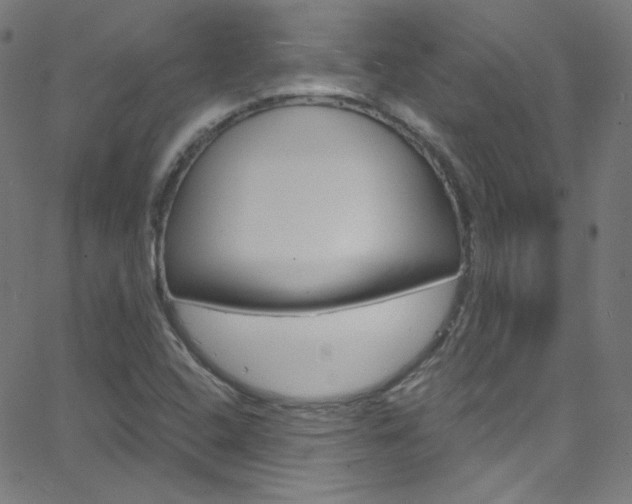 X0000068771408200604281006