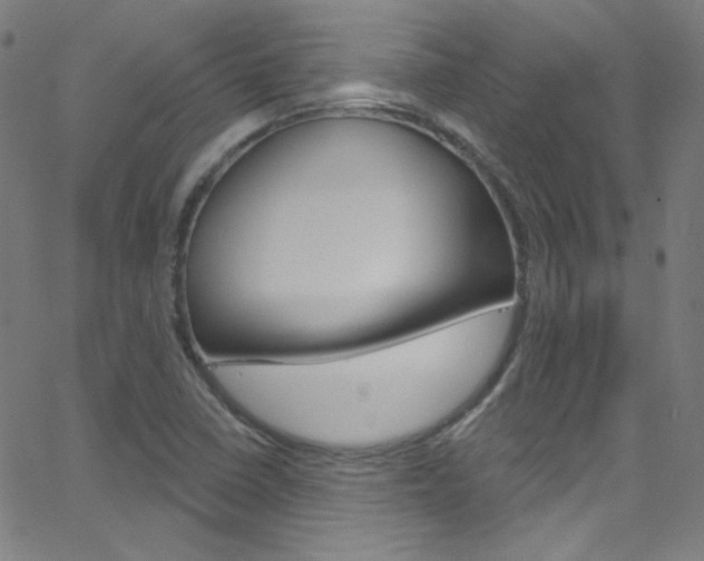 X0000068771410200604281006