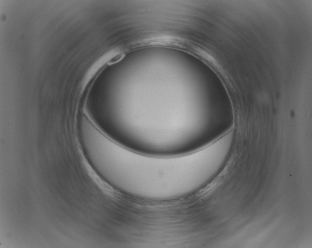 X0000068771426200604281006