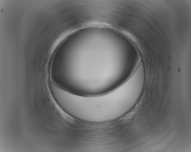 X0000068771430200604281006