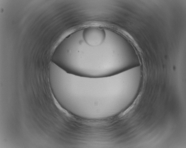 X0000068771433200604281006