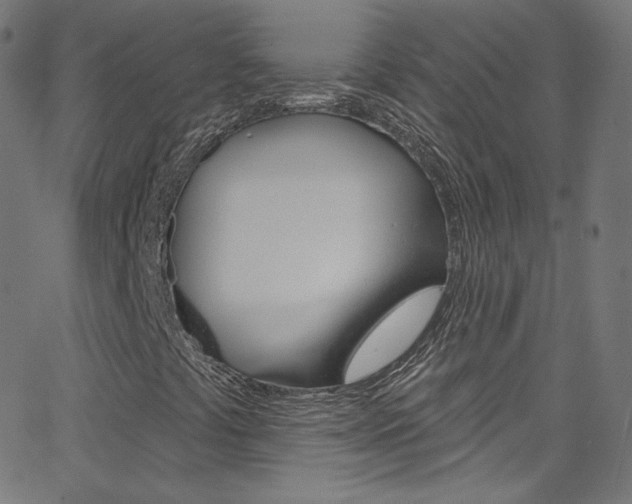 X0000068771441200604281006