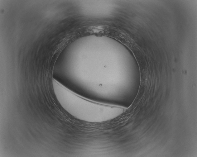 X0000068771442200604281006