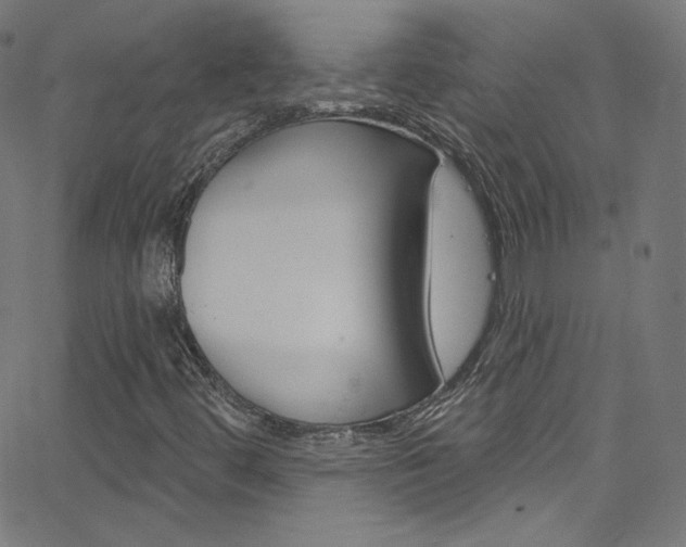 X0000068771444200604281005