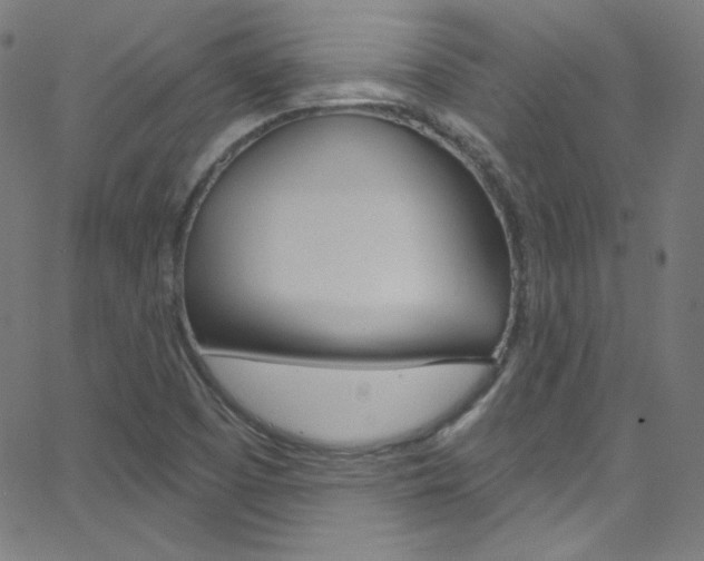 X0000068771457200604281005