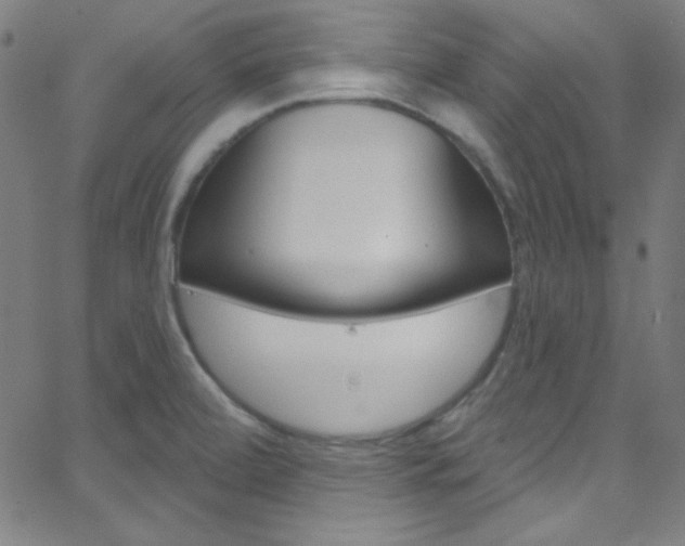 X0000068771472200604281005