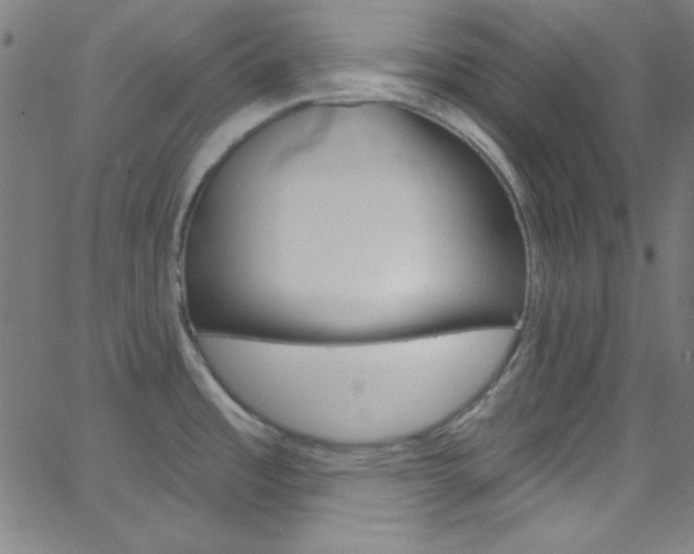 X0000068771485200604281005
