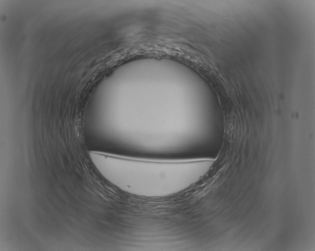 X0000068771490200604281004