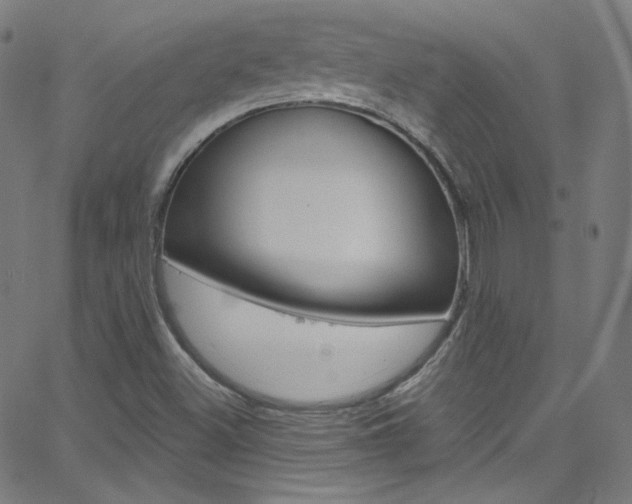 X0000068771500200604281004