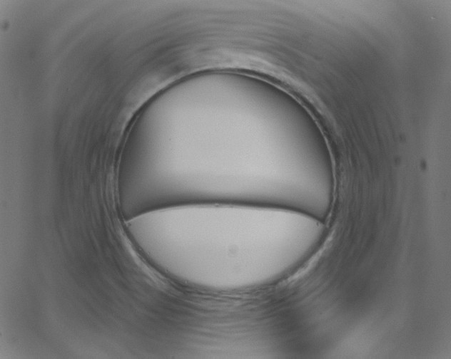 X0000068771513200604281004