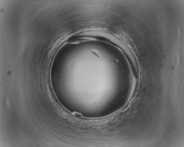 X0000068770001200604281250