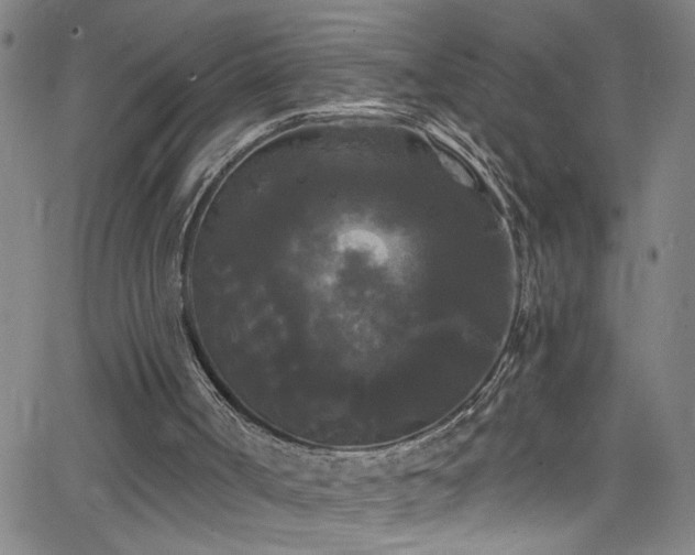 X0000068770002200604281250