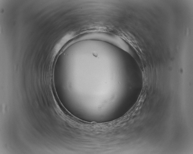 X0000068770003200604281250