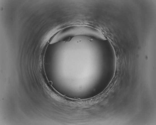 X0000068770005200604281250