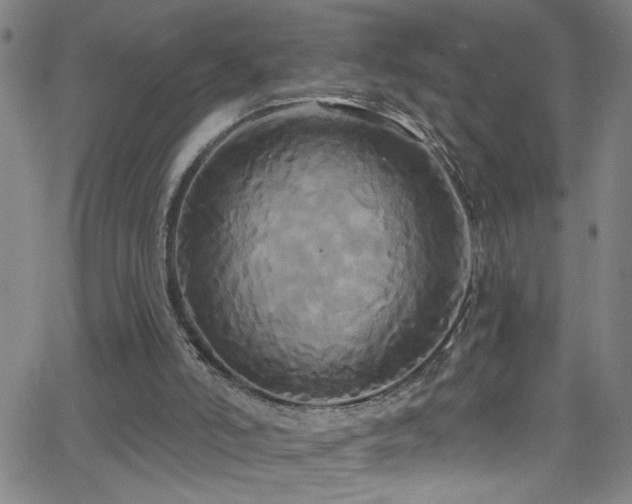 X0000068770006200604281250