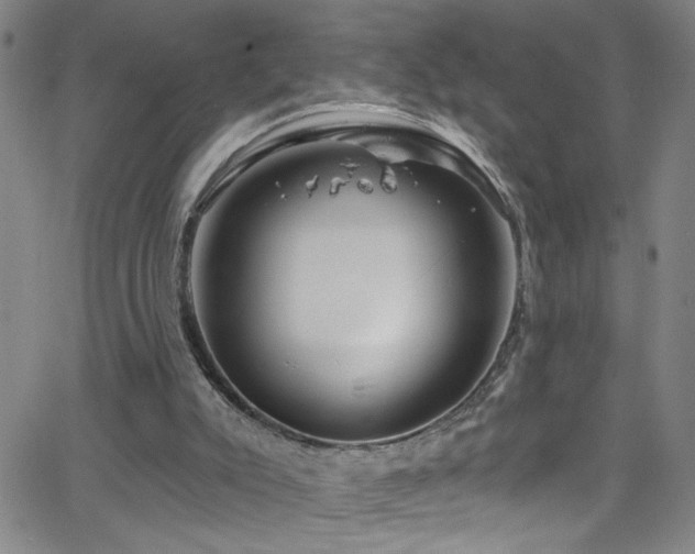 X0000068770007200604281250