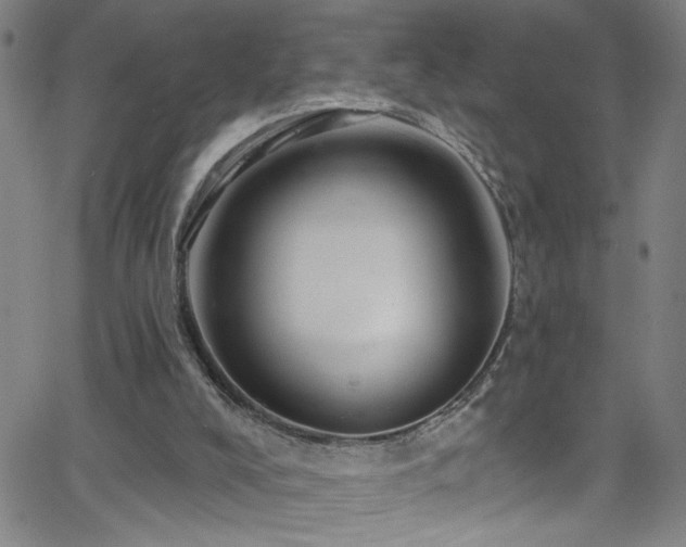 X0000068770008200604281250