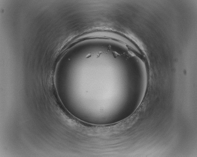 X0000068770009200604281250