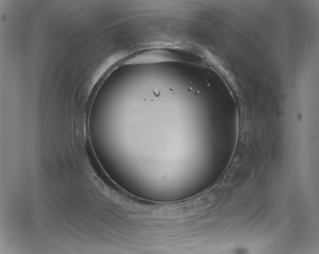 X0000068770011200604281250