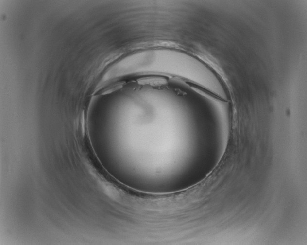 X0000068770013200604281250