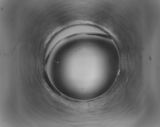 X0000068770015200604281250