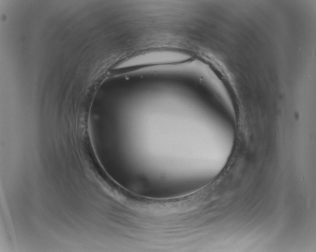 X0000068770017200604281250