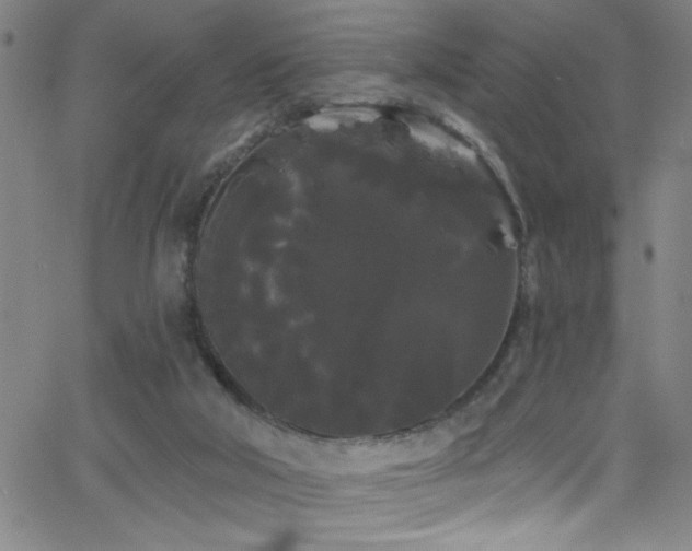 X0000068770018200604281250