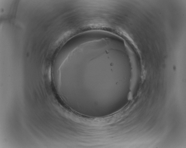 X0000068770019200604281250