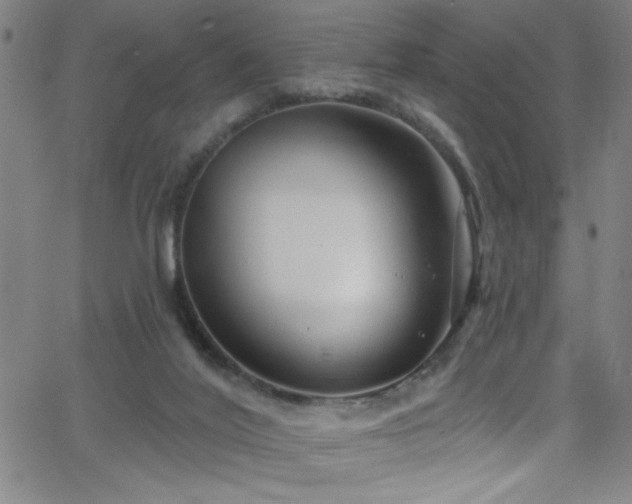 X0000068770020200604281250