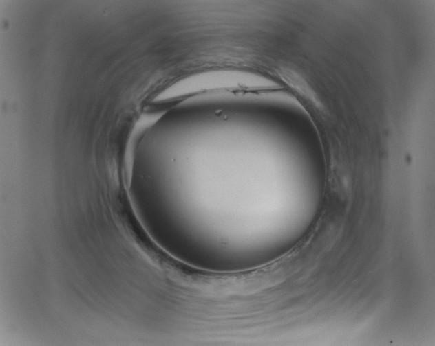 X0000068770021200604281250