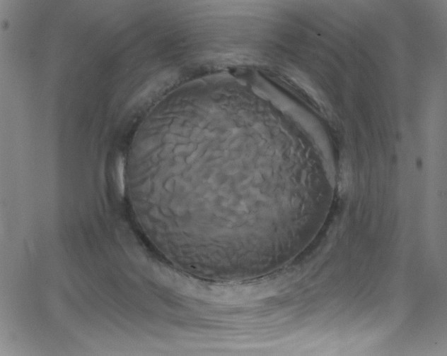 X0000068770022200604281250