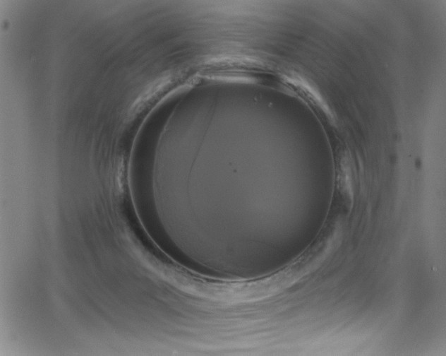 X0000068770023200604281250