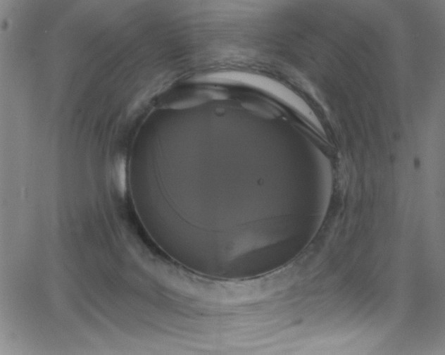 X0000068770027200604281250