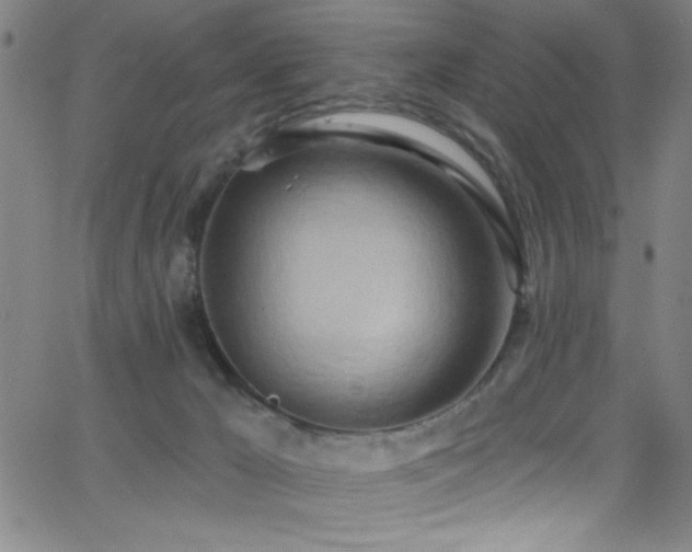 X0000068770029200604281250